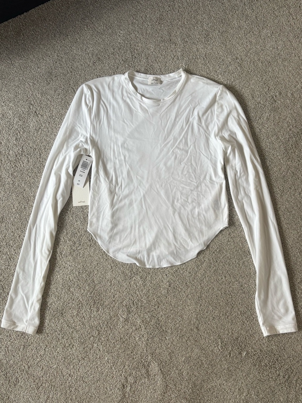 Aritzia Wilfred Potion Long Sleeve Shirt
